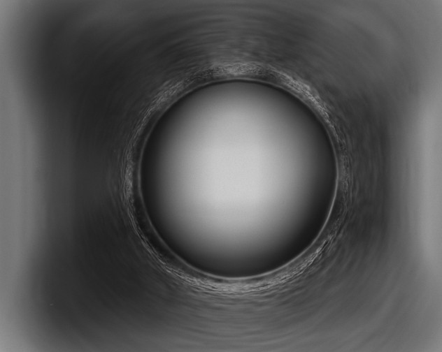 X0000097950010200803241203