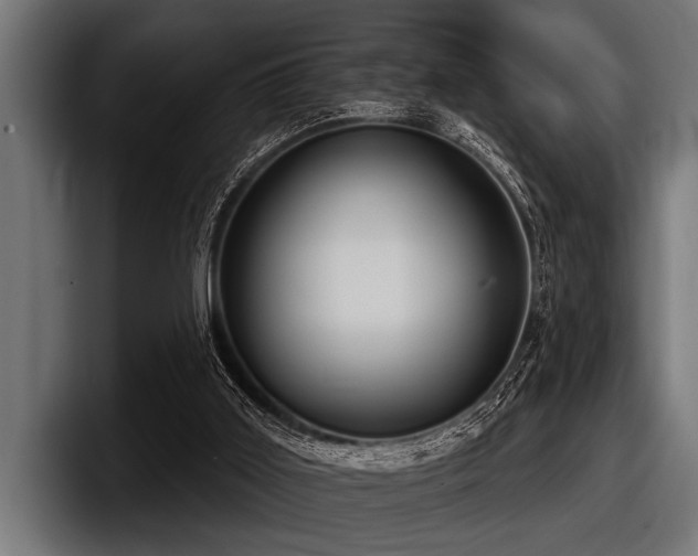 X0000097950011200803241203