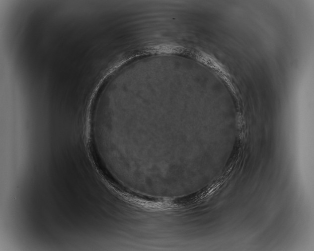 X0000097950012200803241203