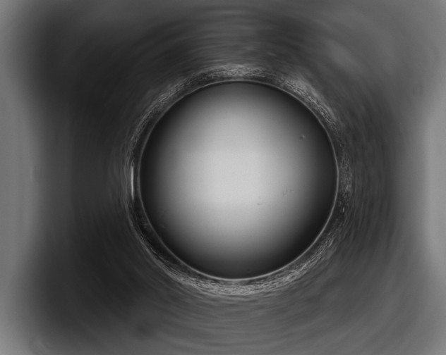 X0000097950014200803241203