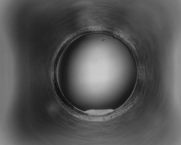 X0000097950015200803241203