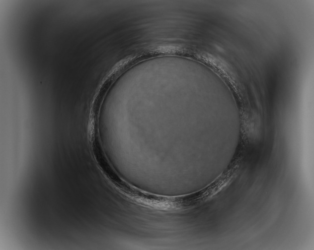 X0000097950016200803241203