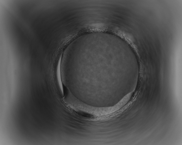 X0000097950017200803241203