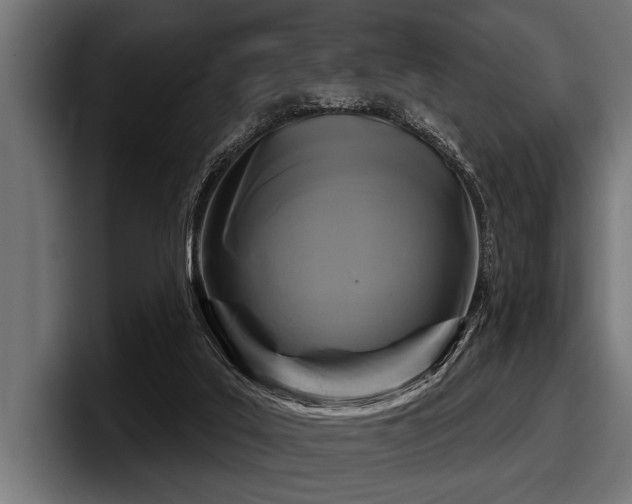 X0000097950019200803241203