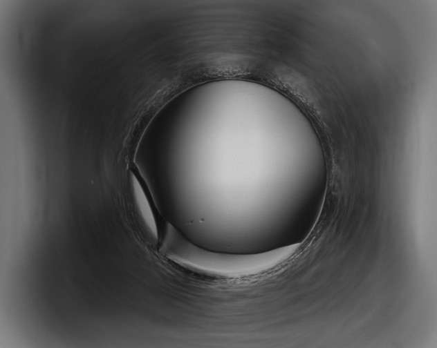 X0000097950021200803241203