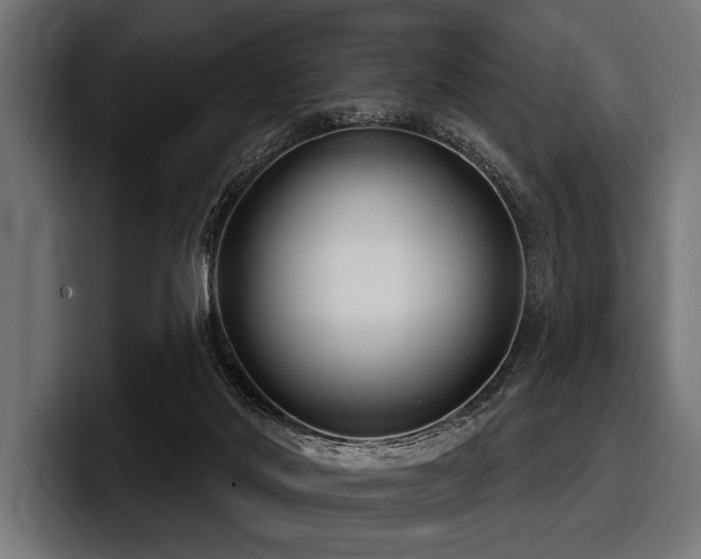 X0000097950022200803241203