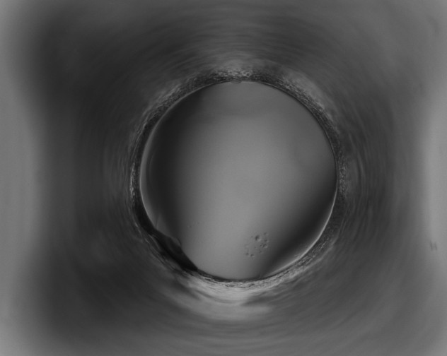 X0000097950023200803241203