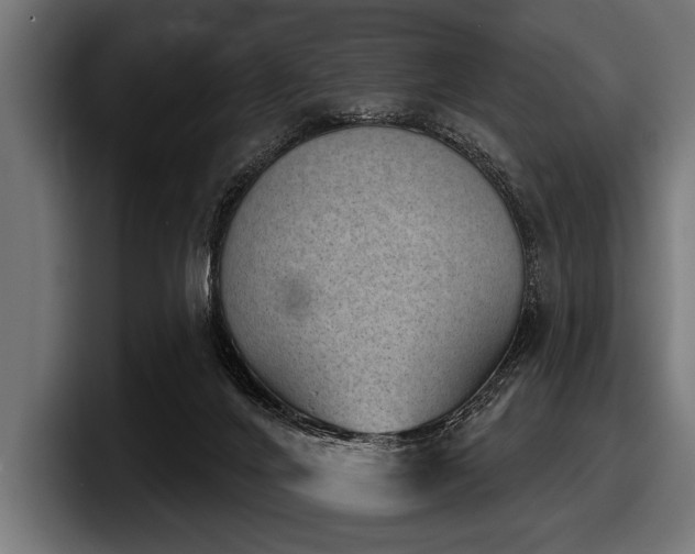 X0000097950024200803241203