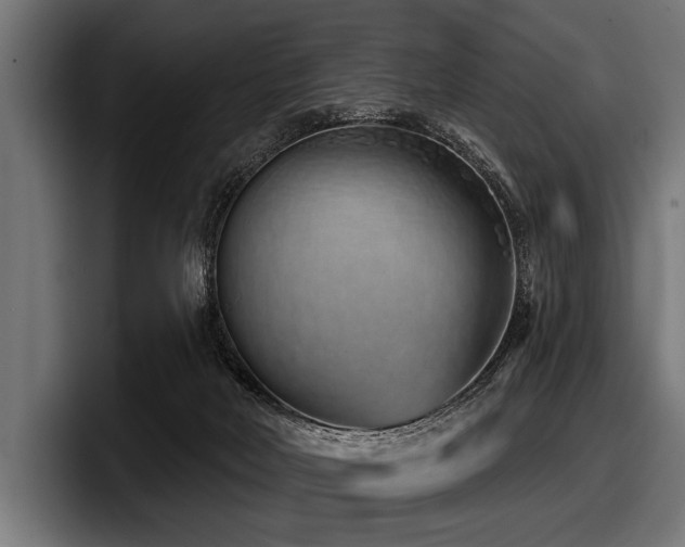 X0000097950026200803241203