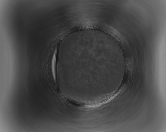 X0000097950029200803241203