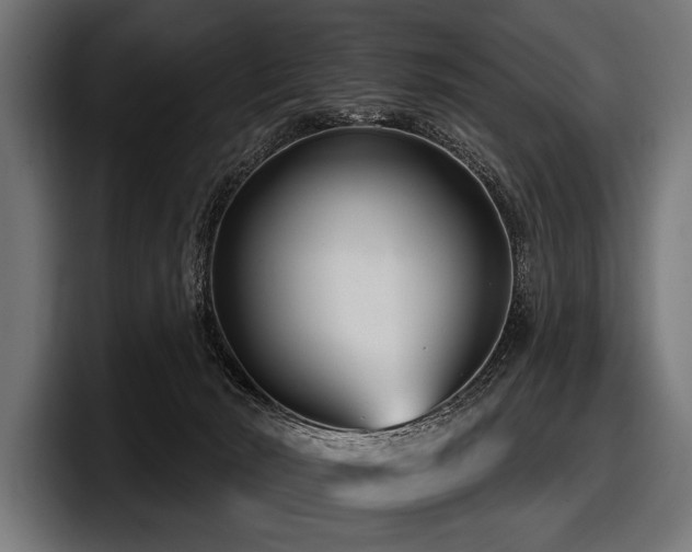 X0000097950030200803241202