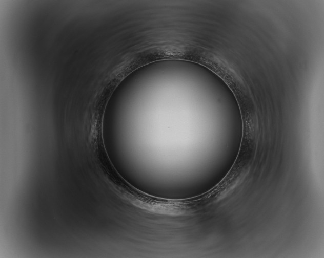 X0000097950032200803241202