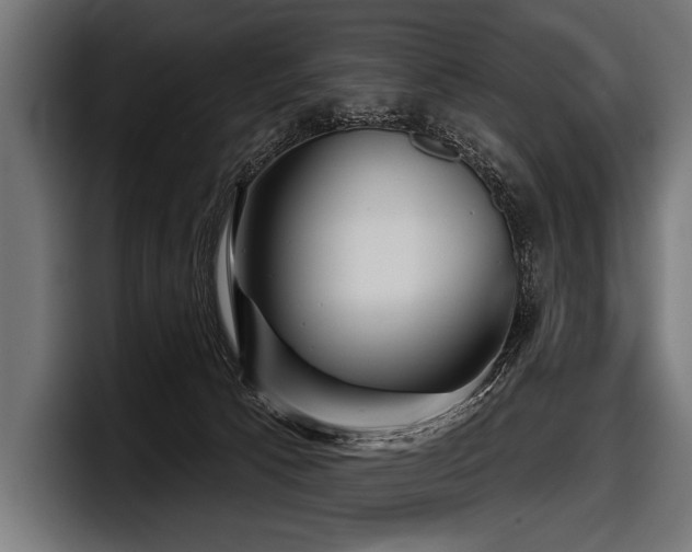 X0000097950033200803241202