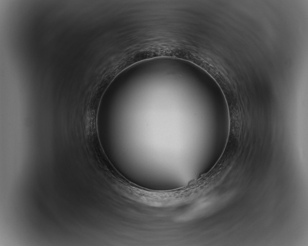 X0000097950034200803241202