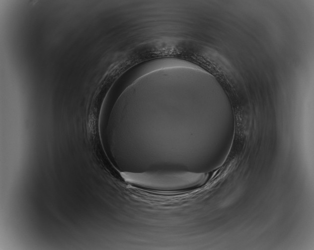 X0000097950035200803241202