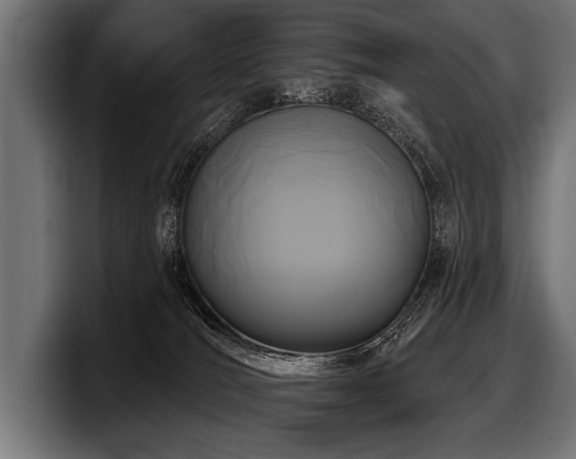 X0000097950036200803241202