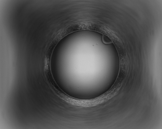 X0000097950038200803241202