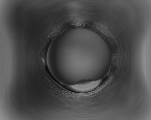 X0000097950039200803241202