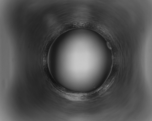 X0000097950040200803241202
