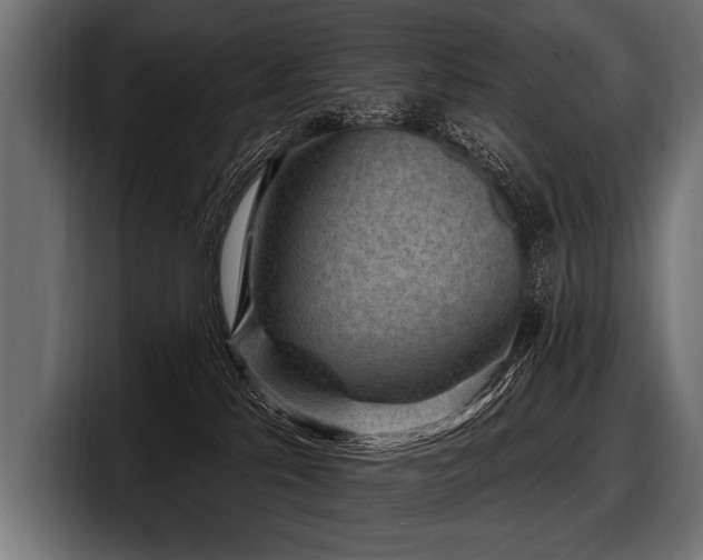 X0000097950041200803241202
