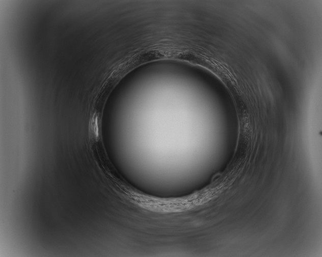 X0000097950042200803241202