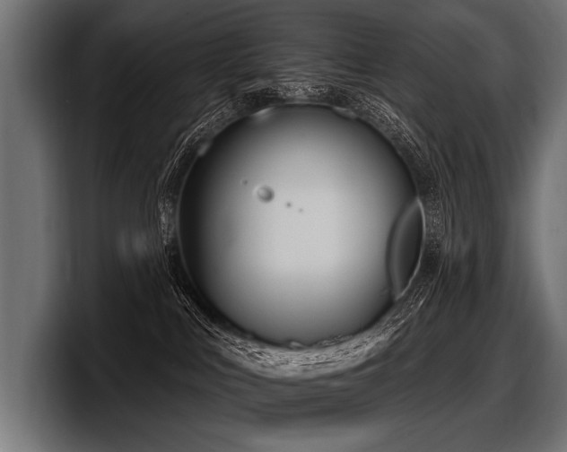 X0000097950043200803241202