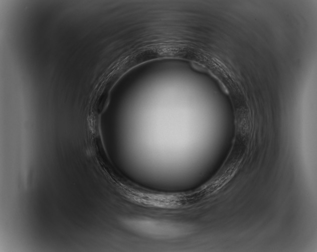 X0000097950044200803241202