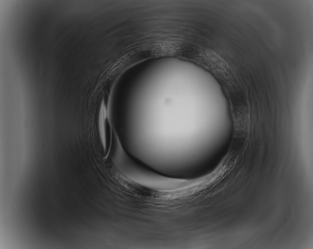 X0000097950045200803241202