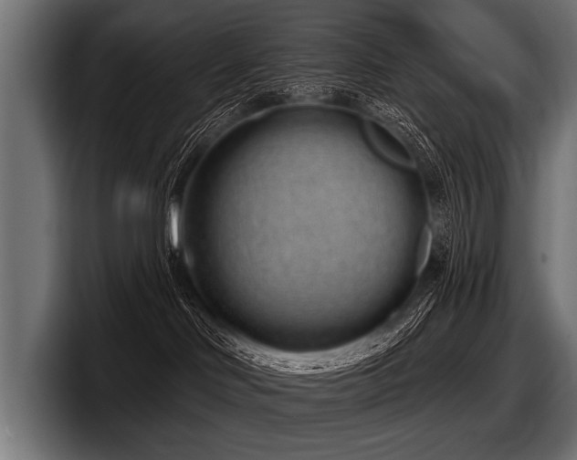 X0000097950046200803241202
