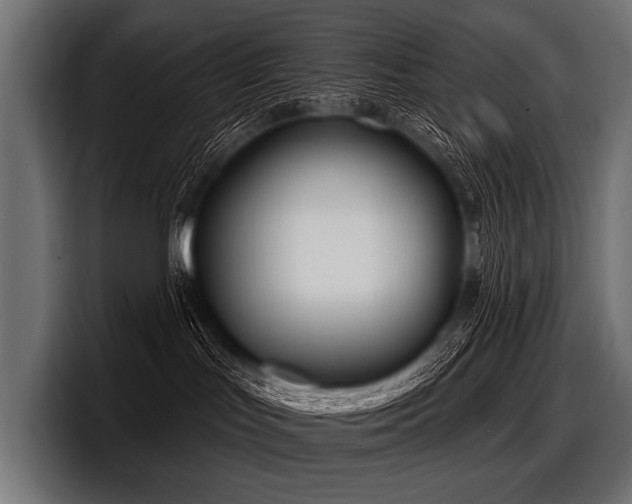 X0000097950047200803241202