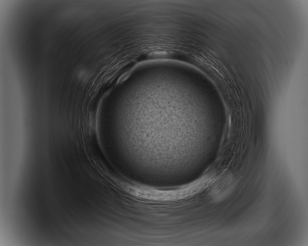 X0000097950048200803241202