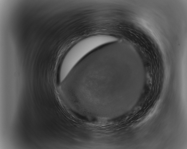 X0000097950049200803241202