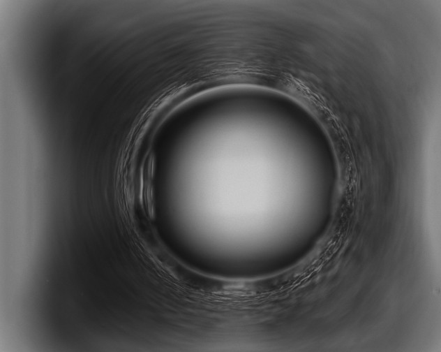 X0000097950050200803241202