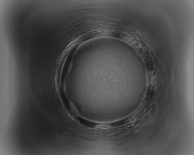 X0000097950051200803241202