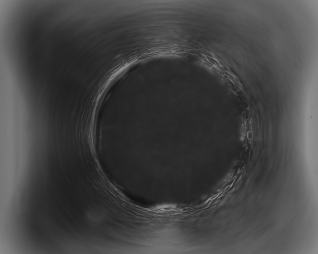 X0000097950052200803241202