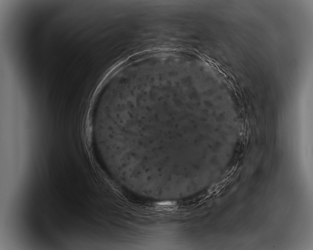 X0000097950053200803241202