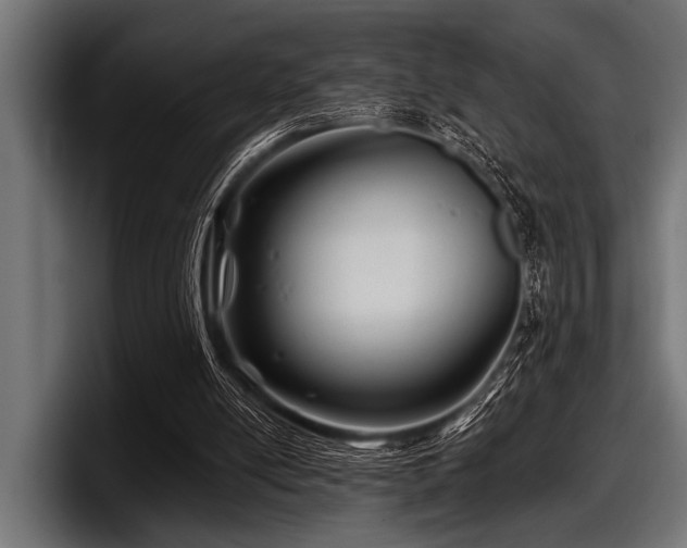X0000097950054200803241202