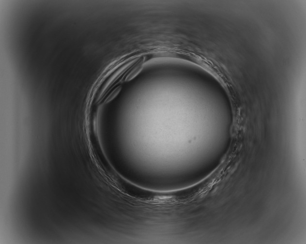 X0000097950055200803241202