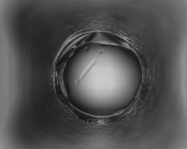 X0000097950056200803241202