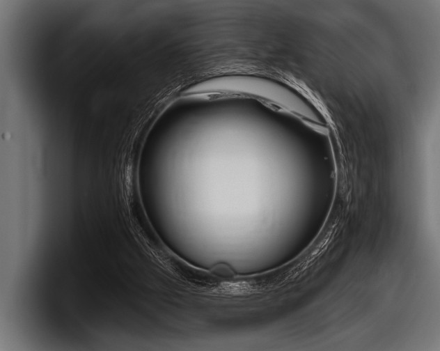 X0000097950057200803241202