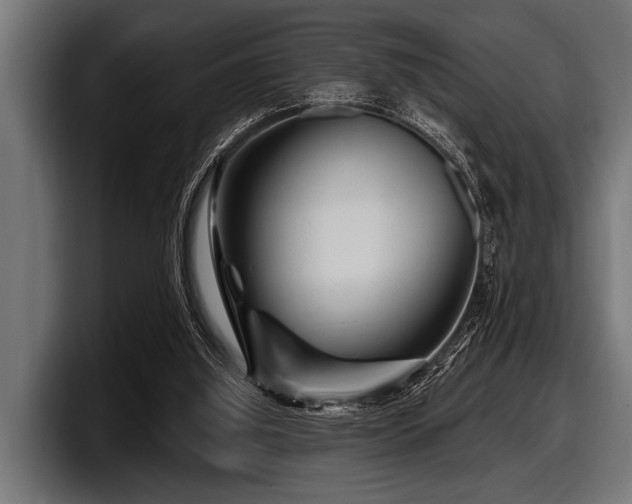 X0000097950060200803241202