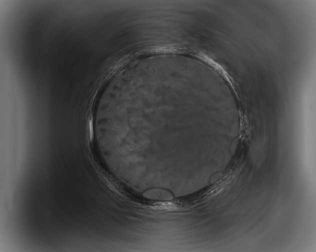 X0000097950061200803241202
