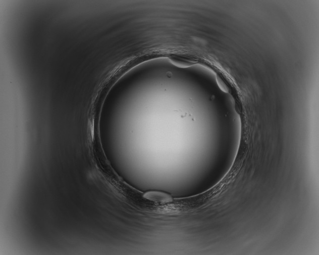 X0000097950062200803241202