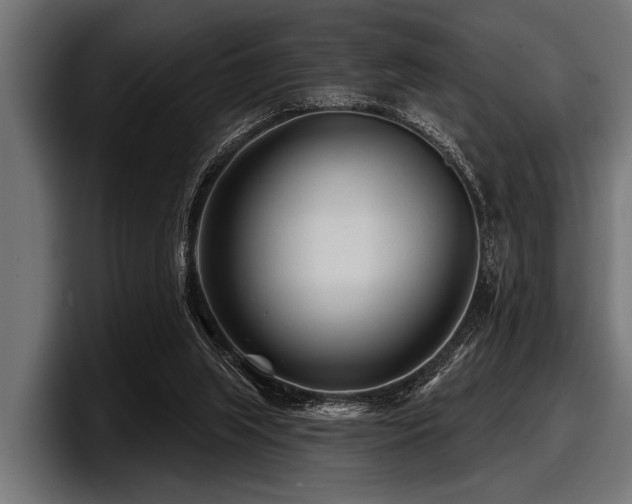 X0000097950063200803241202