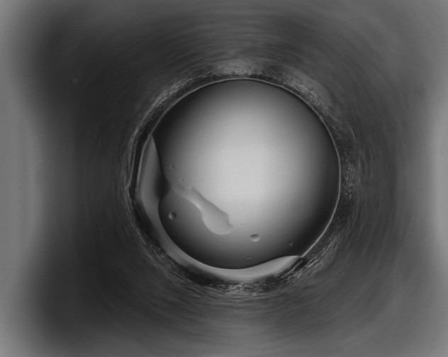 X0000097950064200803241202