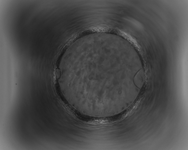 X0000097950065200803241202