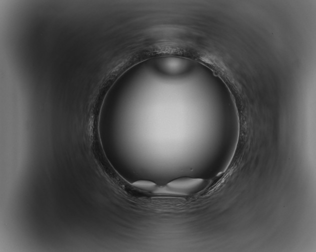 X0000097950066200803241202
