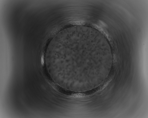 X0000097950069200803241202