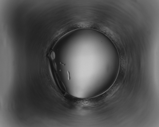 X0000097950071200803241202