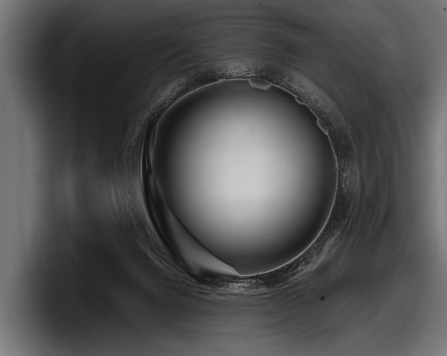 X0000097950072200803241202